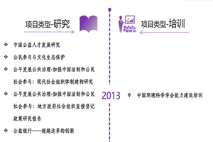 狠操粉逼非评估类项目发展历程